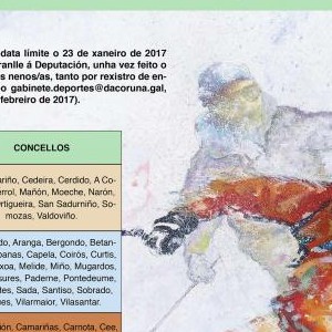 Cartel campaña de esquí 2017