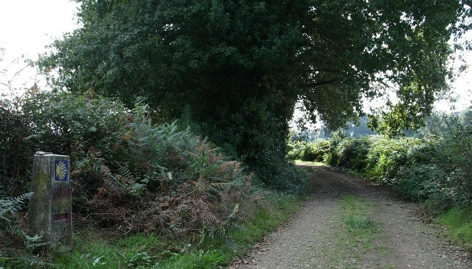 171.000 euros para a mellora do Camiño Inglés
