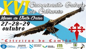 XVI CAMPIONATO GALEGO DE CETRARIA