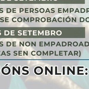 cursos 2024 piscina climatizada