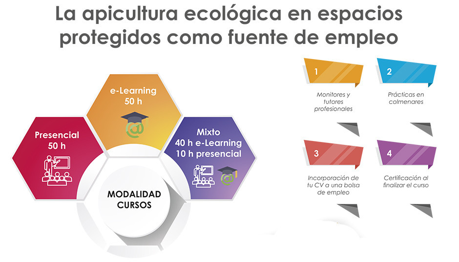 CURSOS PARA DESEMPREGADOS: APICULTURA ECOLÓXICA