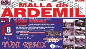 Ardemil prepárase para celebrar a súa tradicional Malla coa feira de antigüidades máis grande de Galicia