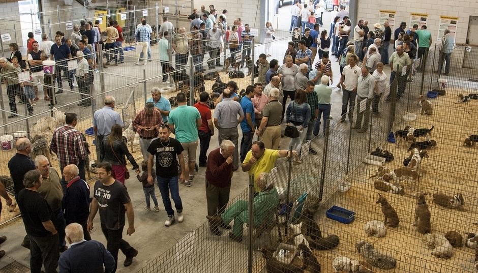 O Mesón do Vento sitúa a súa Feira de Cans de Caza como cita ineludible para o sector cinexético