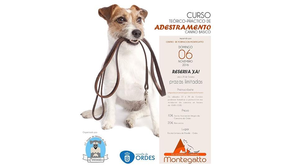 Curso teórico-práctico de adestramento canino