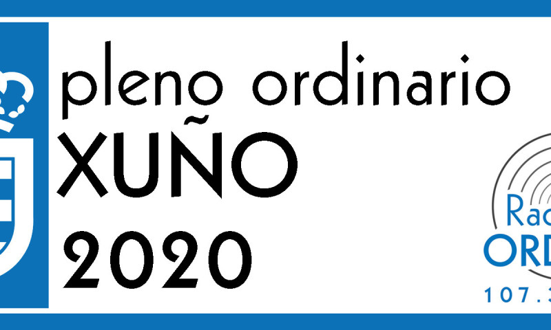 PLENO ORDINARIO XUÑO 2020